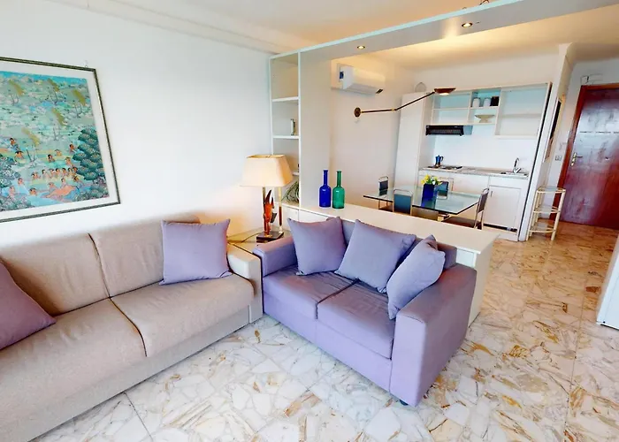 Joli 2p Climatise Avec Terrasse Face A La Pres Du Centre - Fr-1-196-388 멍똥