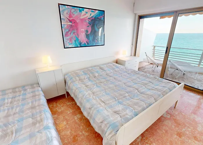 Joli 2p Climatise Avec Terrasse Face A La Pres Du Centre - Fr-1-196-388 *